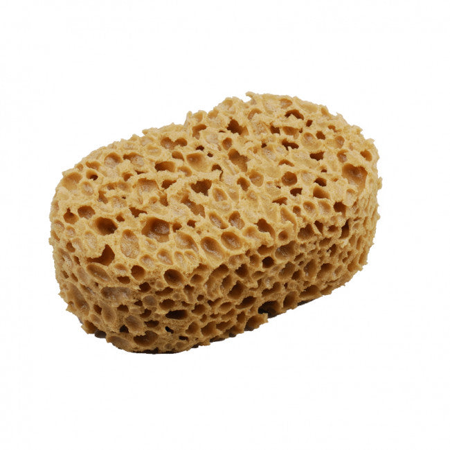 SPUGNA MARINA NATURALE PER IMBIANCHINI - CASTORO