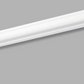 Wall Moulding - Cornici in Polimeri - Profilo Cw10 - Ard
