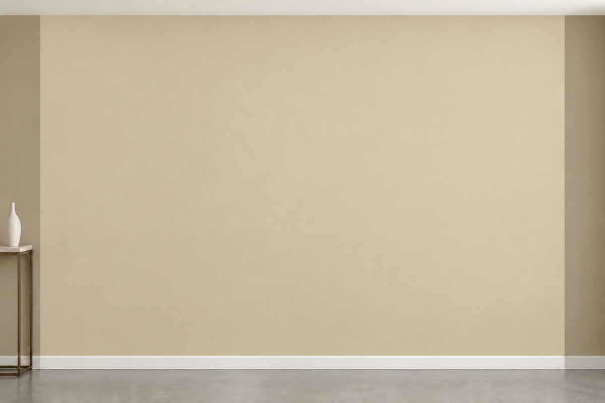 Boiserie Napoli 1B – parete prima della decorazione