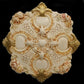ROSONE IN GESSO (D116)